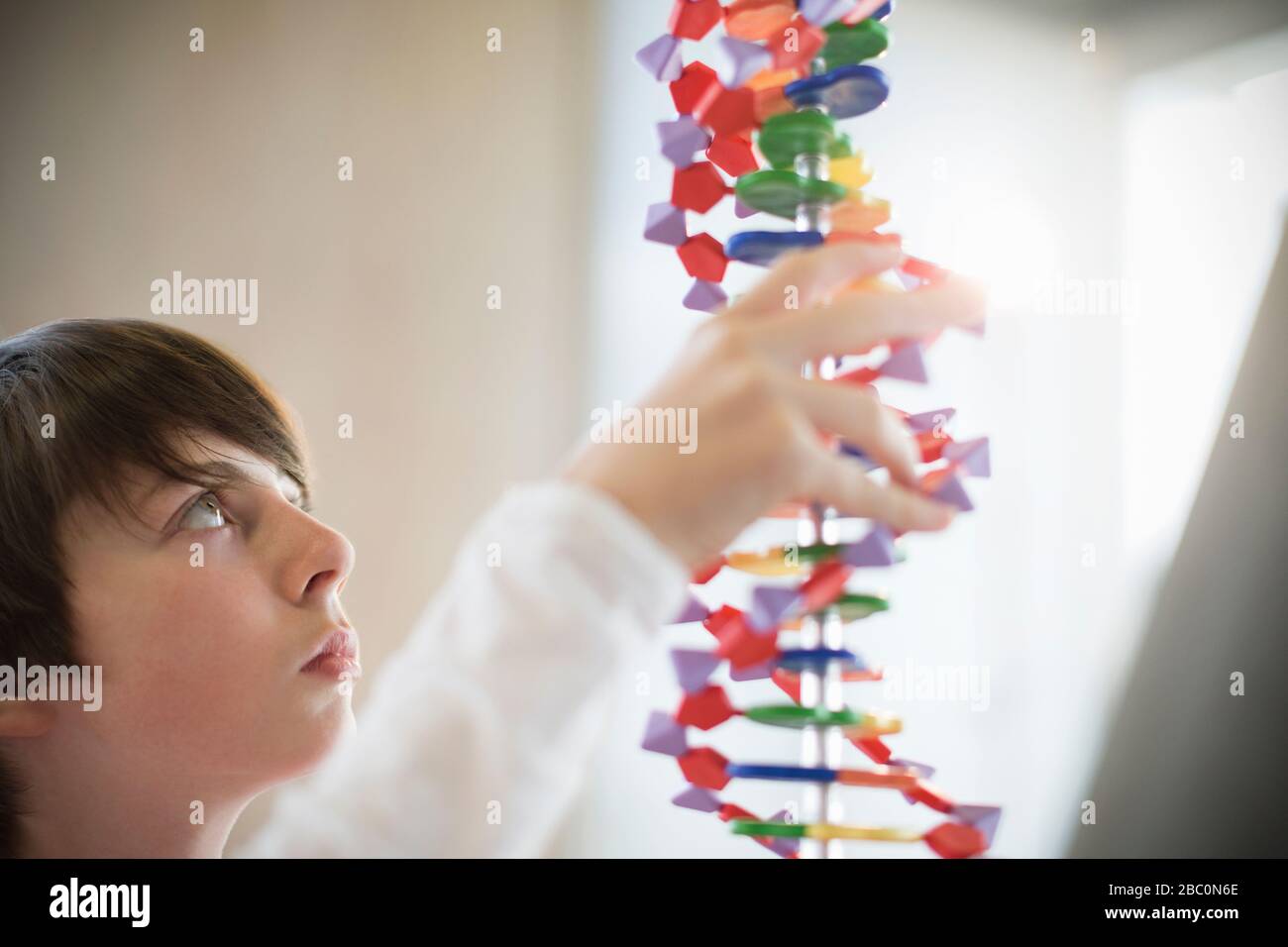 Curious boy examining DNA model Stock Photo