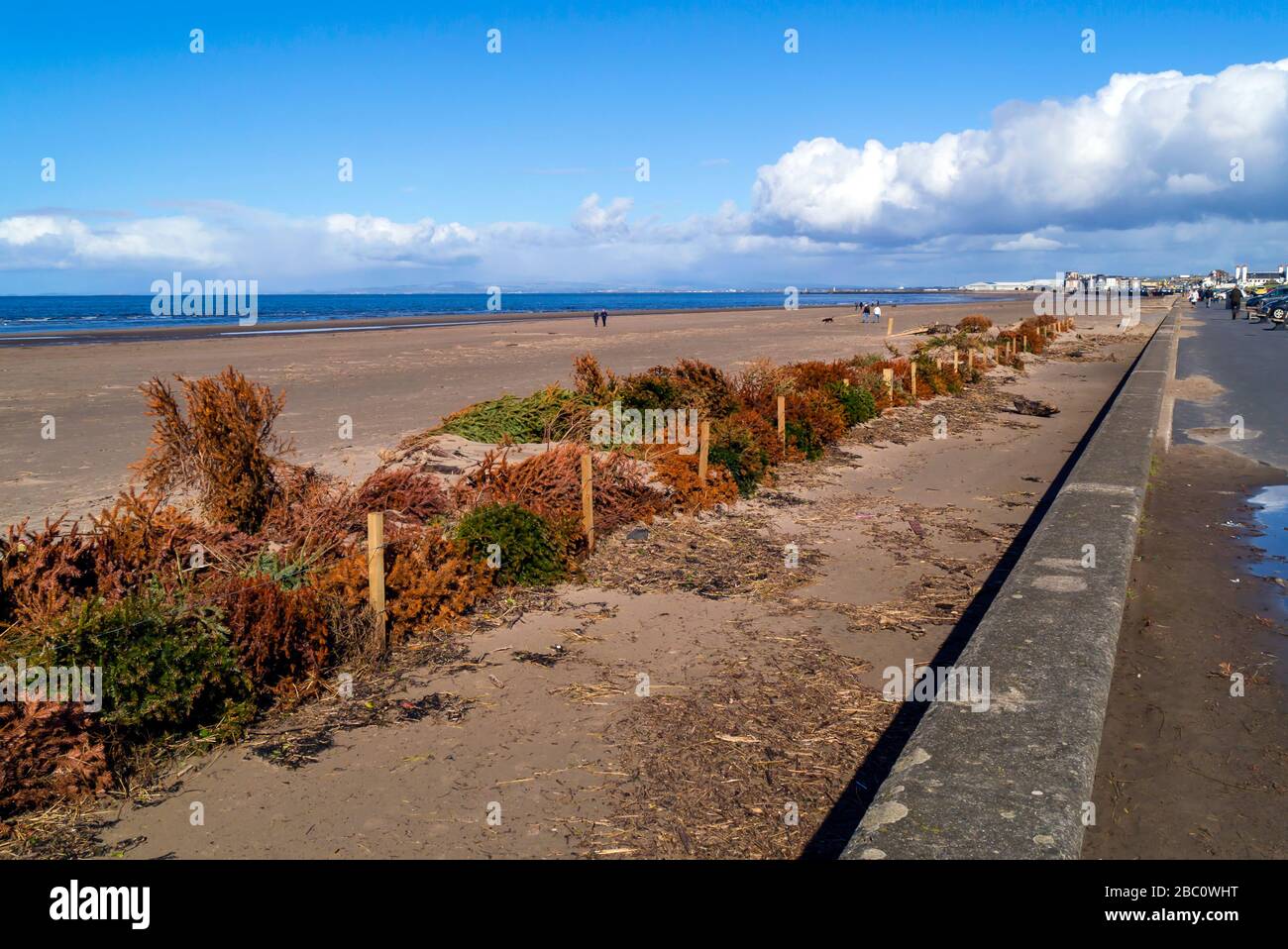 Christmas Tree Recycling High Resolution Stock Photography And Images Alamy