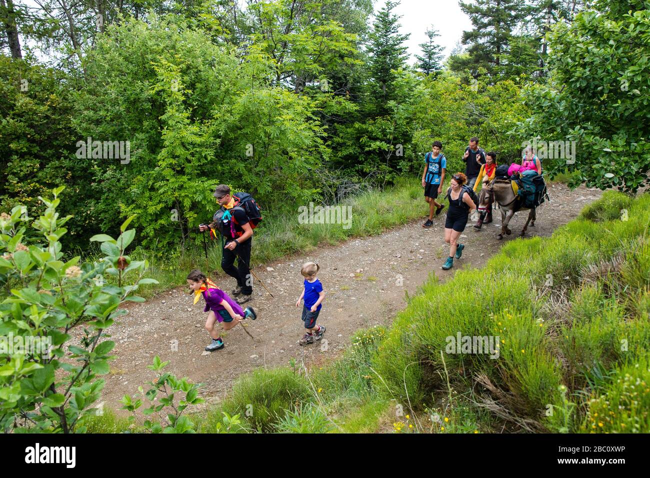 THE TROUBADE OR TROBADA, A CATALAN TRADITION, CLIMBING UP THE CANIGOU MOUNTAIN ON FOOT TO PLACE A BUNDLE OF GRAPEVINE SHOOTS AT THE TOP, (66) PYRENEES-ORIENTALES, LANGUEDOC-ROUSSILLON, OCCITANIE, FRANCE Stock Photo