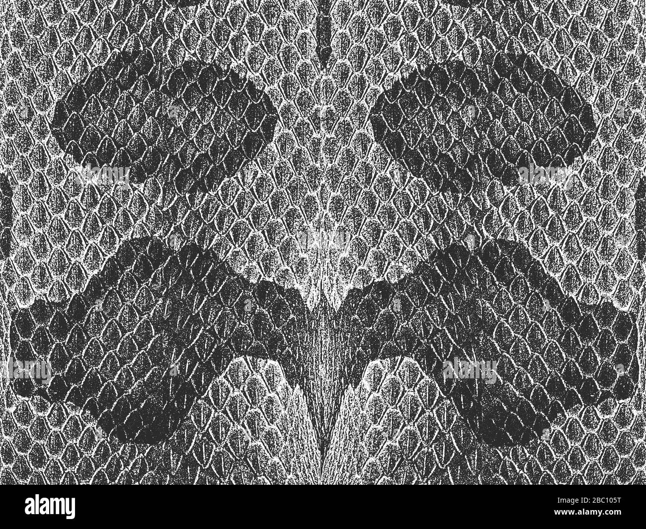 Distress snake skin grunge texture. Black and white background Stock