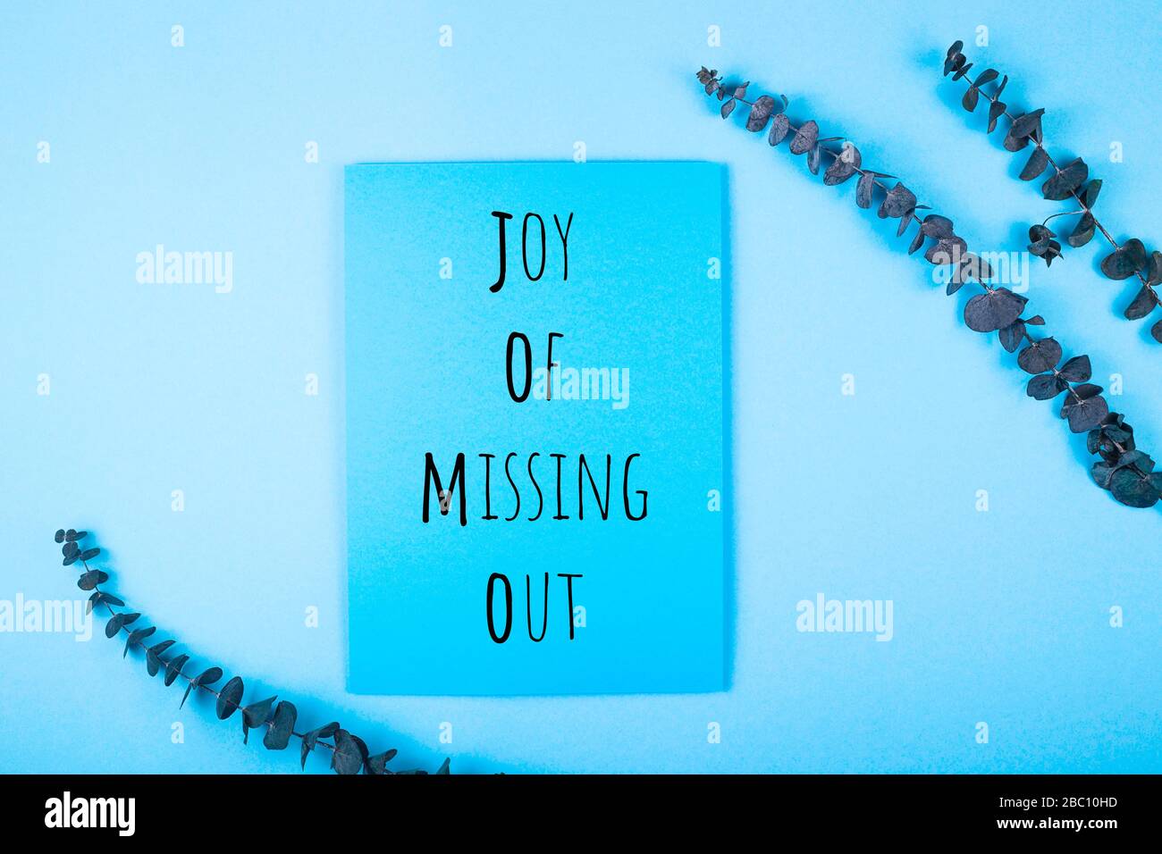 Joy of missing out is written on background with eucalyptus on a blue background. Stock Photo