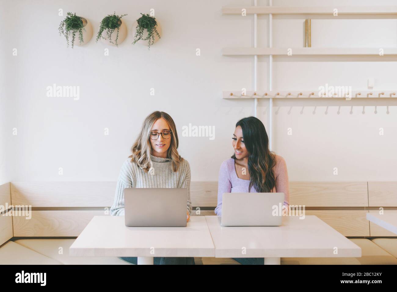 Two women using laptops in a cafe Stock Photo