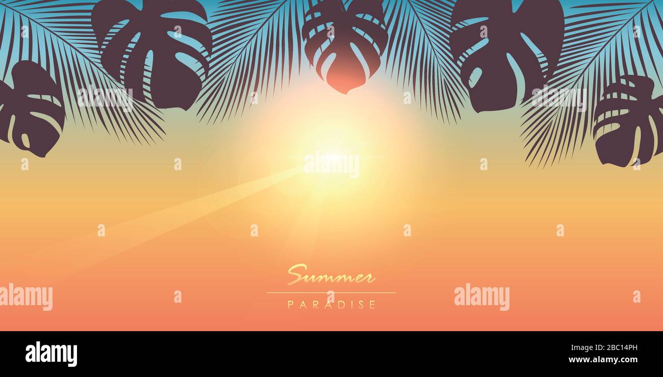 tropical summer paradise sunny background with palm leaves vector illustration EPS10 Stock Vector