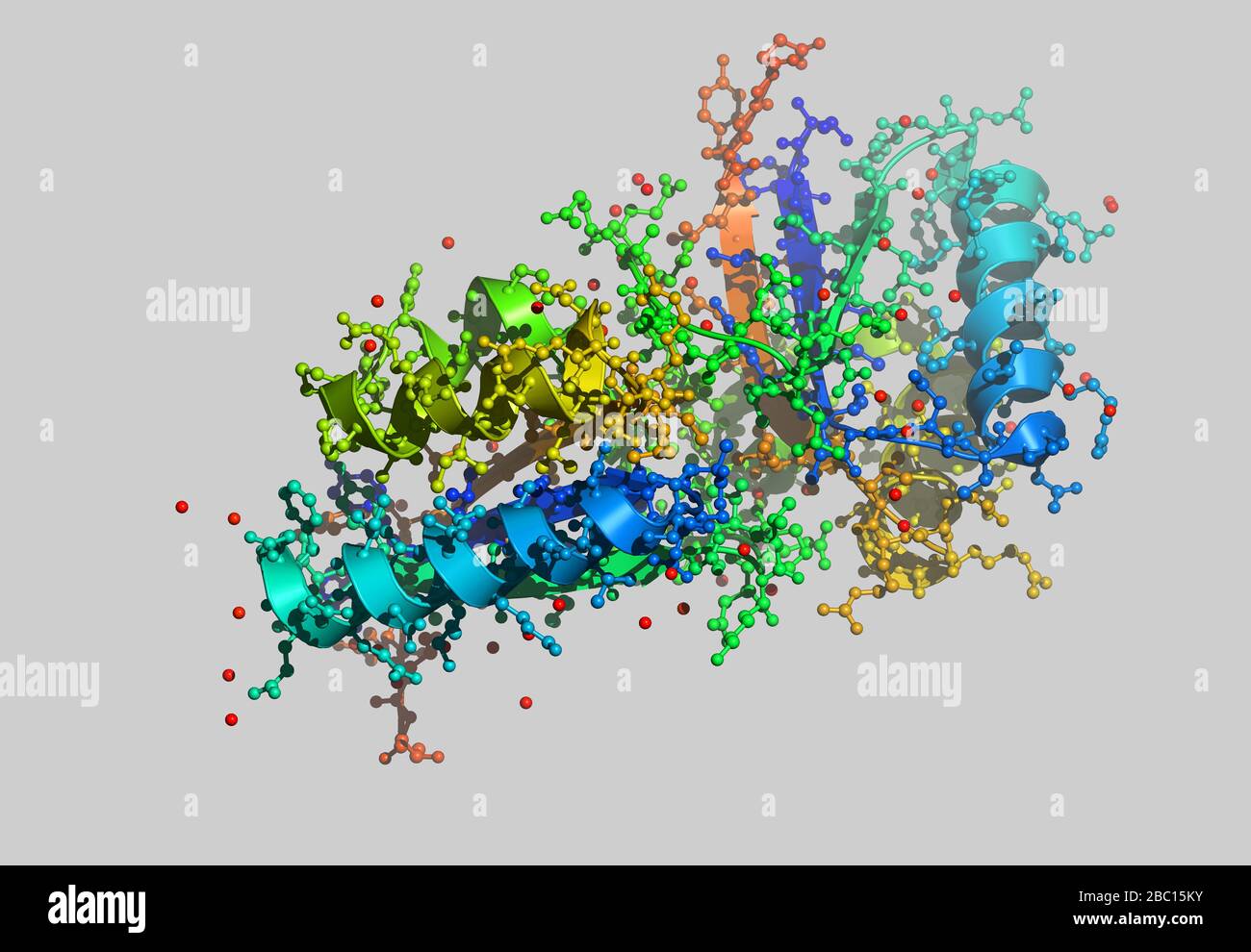 Protein molecular model with atoms Stock Photo Alamy