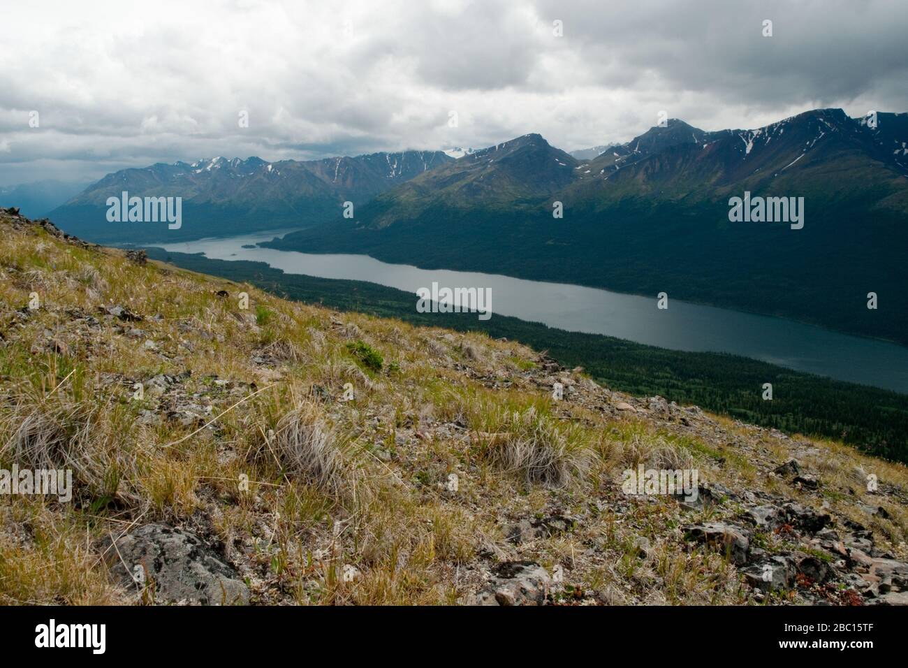 Looking down at Cold Fish Lake and the Stikine Mountains in Spatsizi Plateau Wilderness Provincial Park in northern British Columbia, Canada. Stock Photo