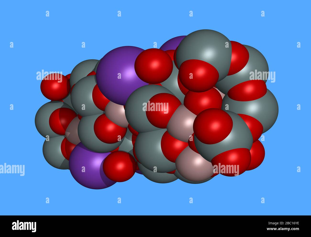 Leeza Jones fotosurati