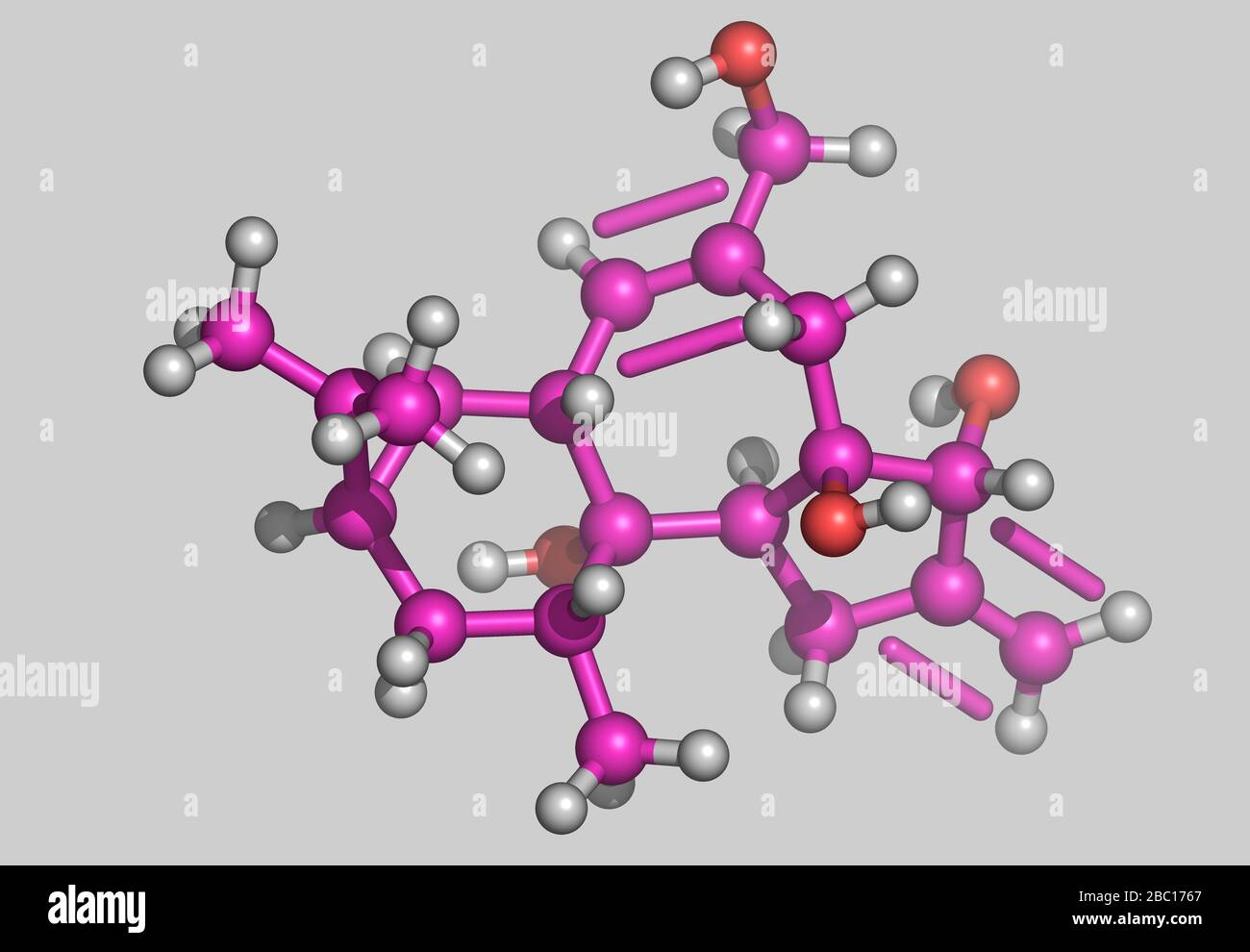 Phorbol molecular model with atoms Stock Photo