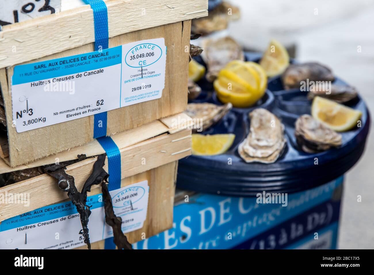 CUPPED OYSTERS, CANCALE, CANCALE, ILLE-ET-VILAINE (35), FRANCE Stock Photo