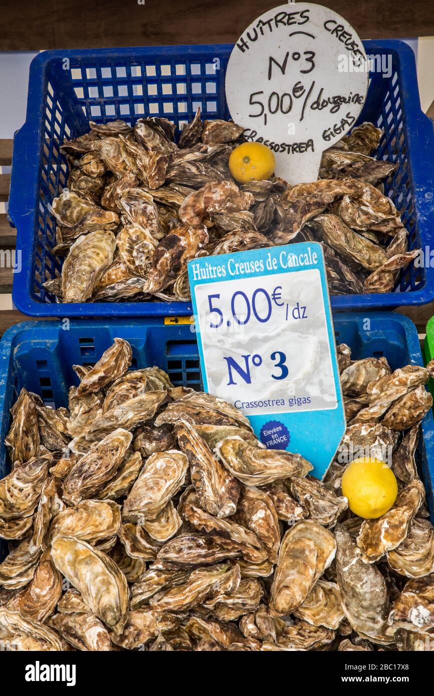 CUPPED OYSTERS, CANCALE, CANCALE, ILLE-ET-VILAINE (35), FRANCE Stock Photo