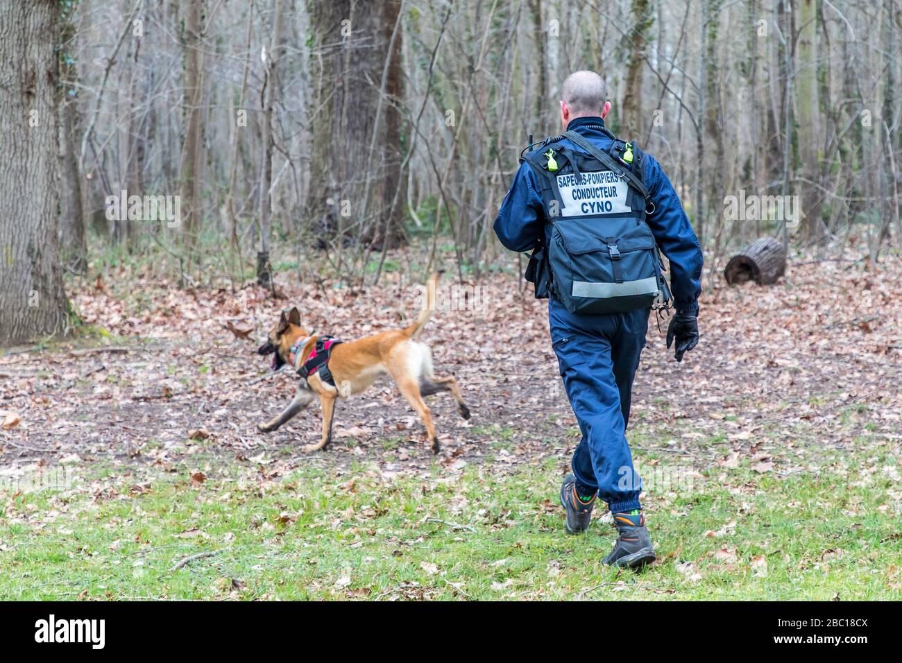 FIRE DEPARTMENT DOG HANDLER AND HIS DOG, MALINOIS OR BELGIAN SHEPHERD, SEARCHING FOR LOST PERSONS, SDIS 77, SEINE ET MARNE, ILE DE FRANCE Stock Photo