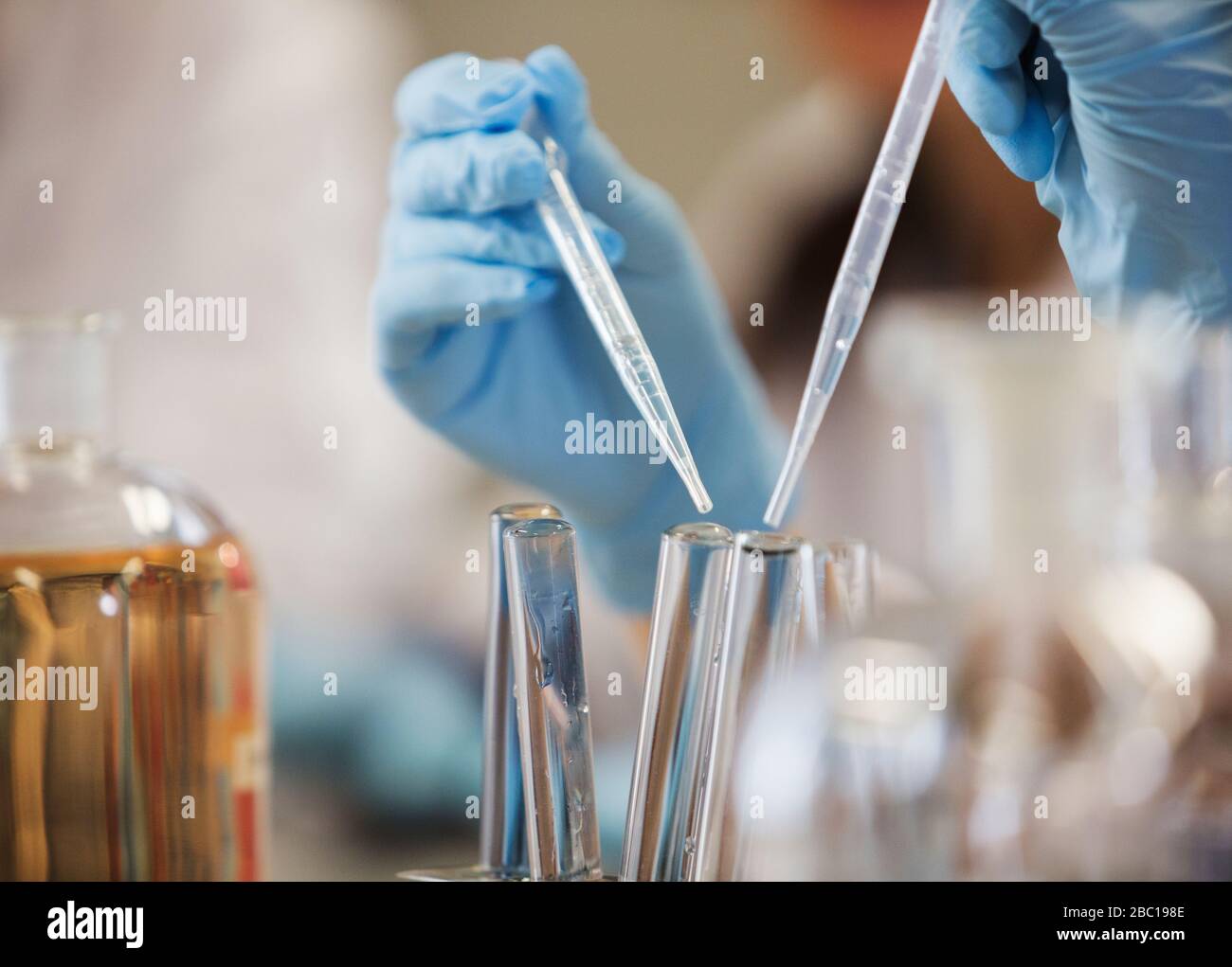 Hands in rubber gloves using pipettes over test tubes, conducting scientific experiment Stock Photo