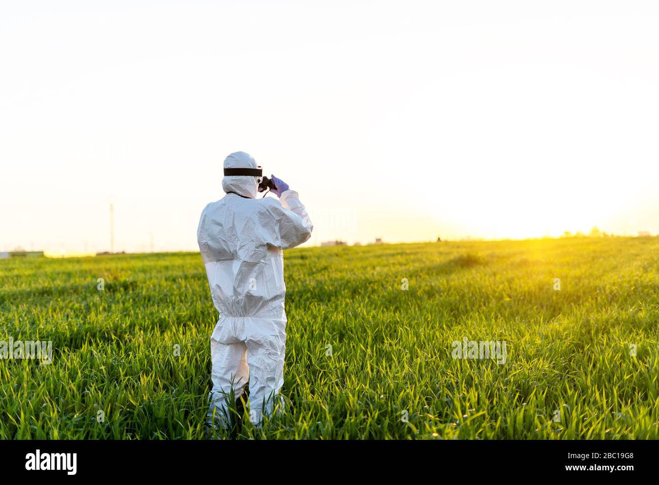 Female scientist researching in field and looking through binoculars at sunset Stock Photo
