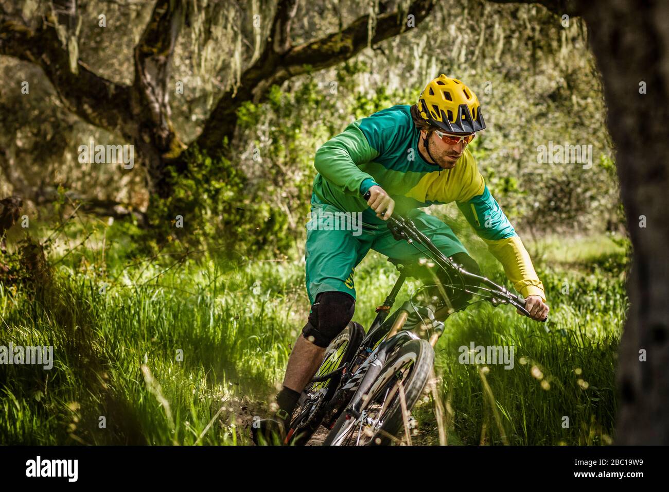 Man riding mountainbike on forest track, Fort Ord National Monument