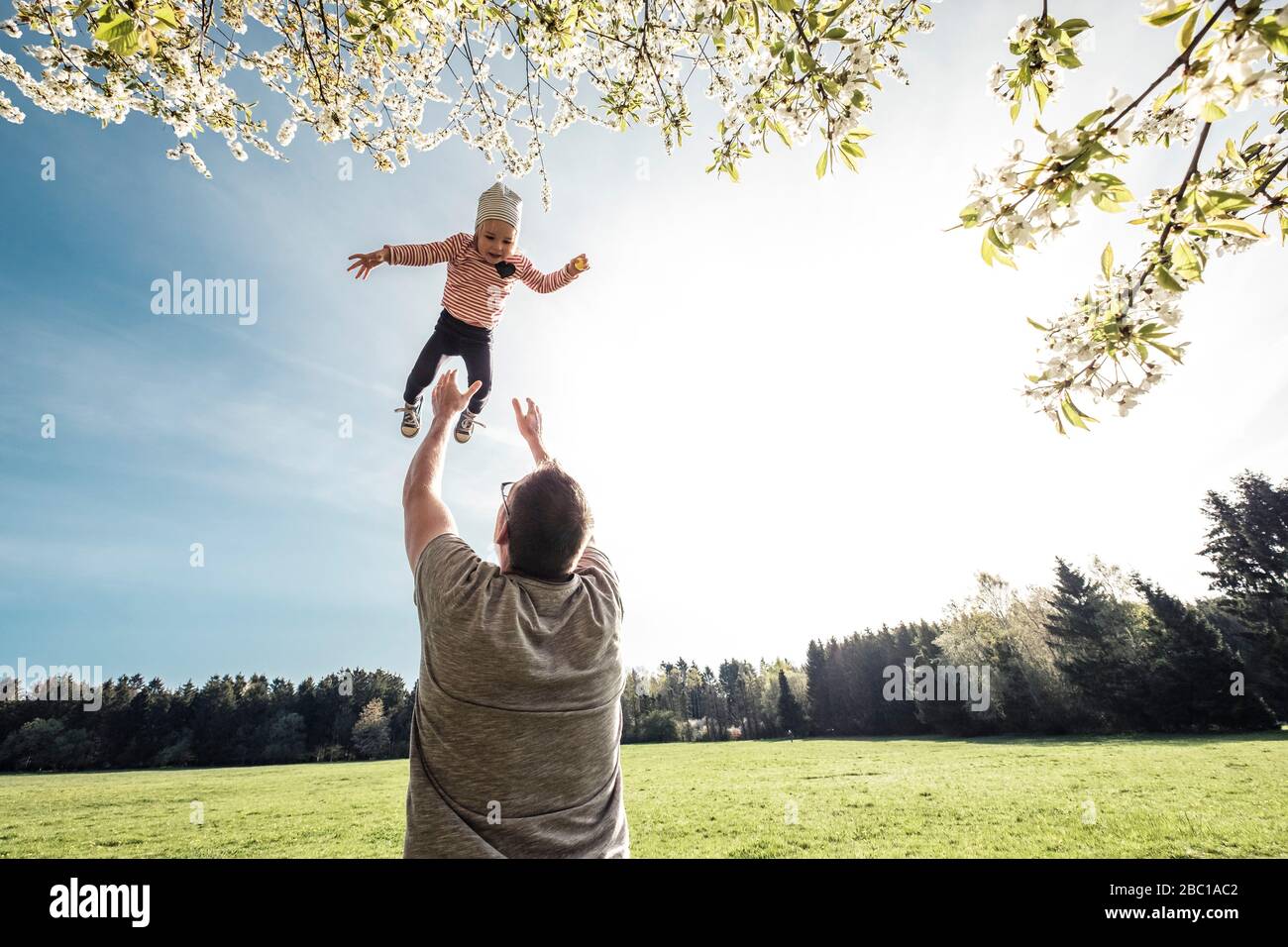 Father throwing little daughter up in air Stock Photo Alamy