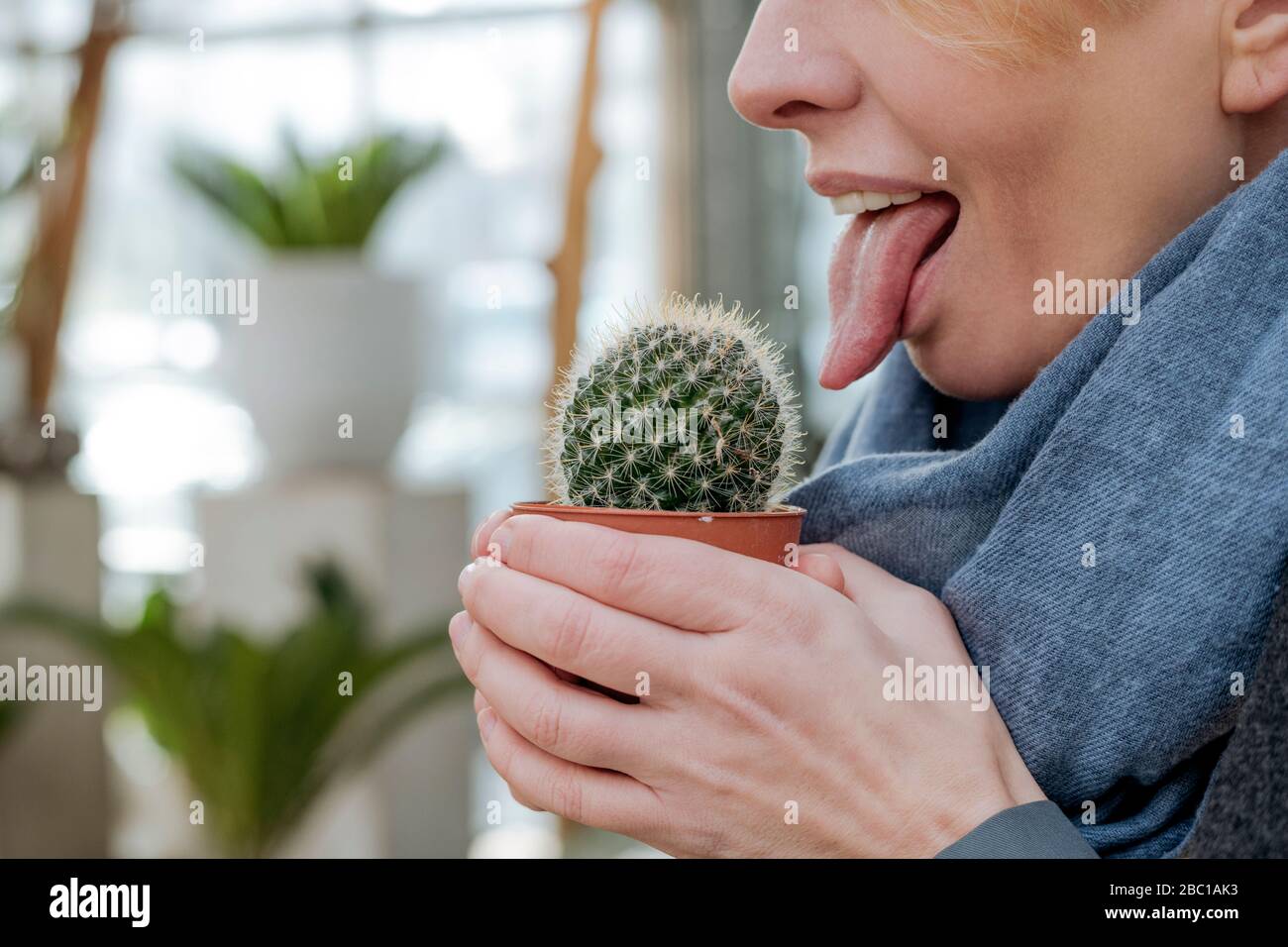 Woman licking cactus Stock Photo