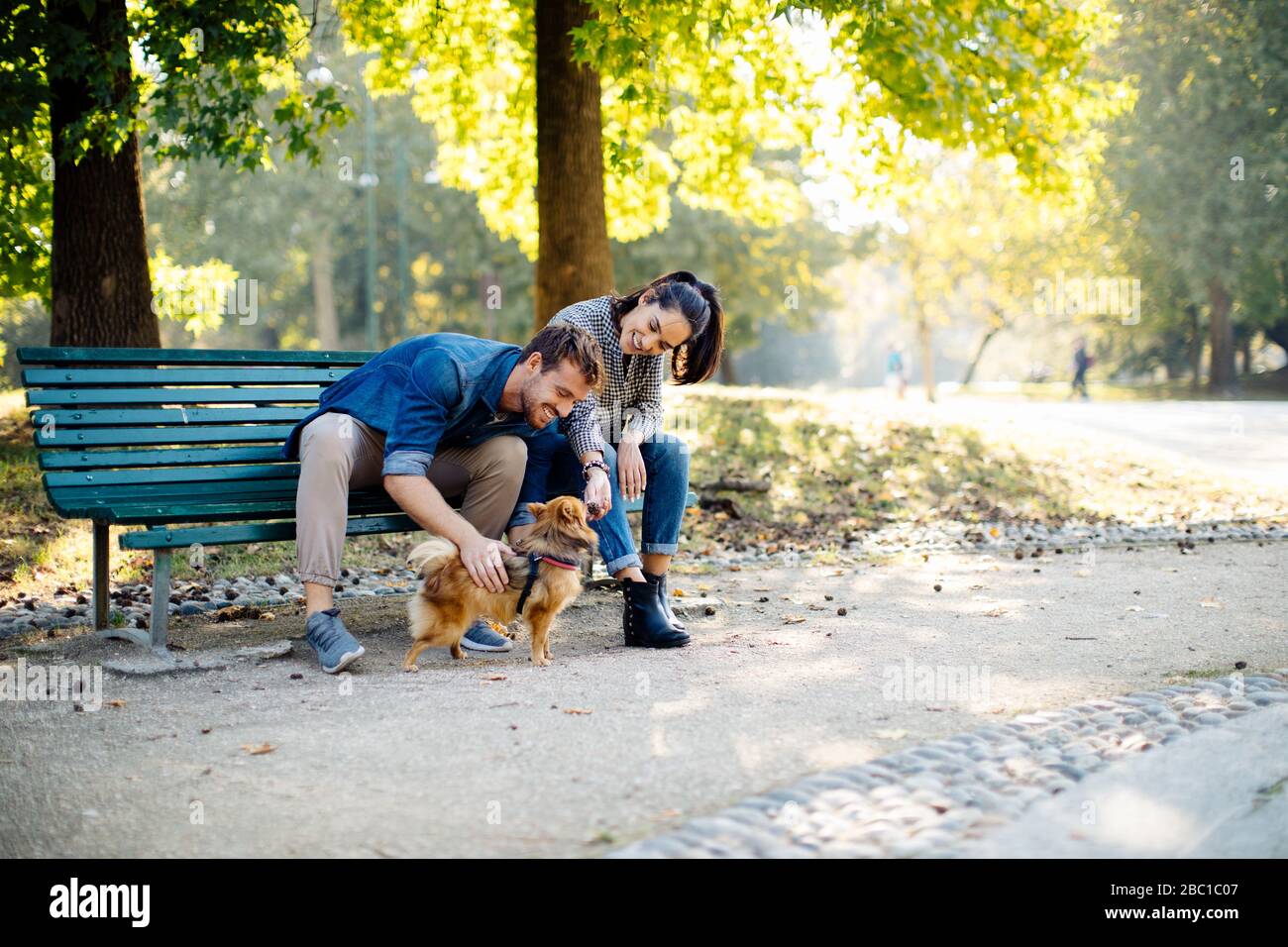 Dog owner on a park bench hi-res stock photography and images - Alamy