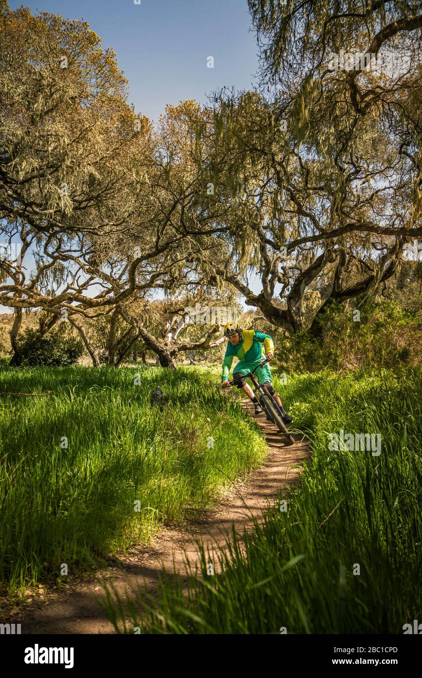 Man riding mountainbike on forest track, Fort Ord National Monument