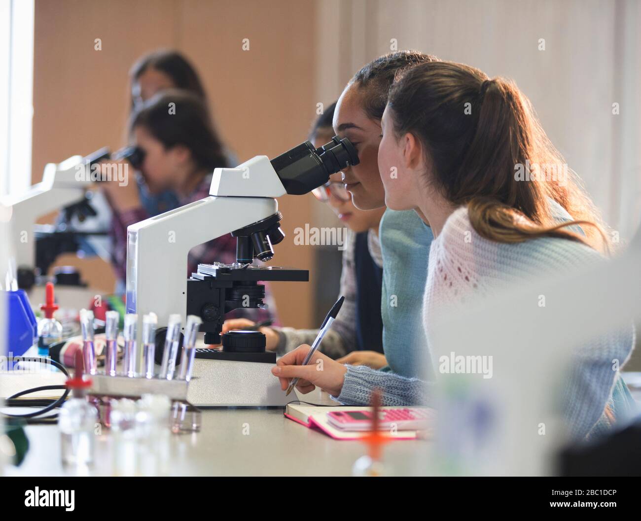 Girl students using microscope, conducting scientific experiment in laboratory classroom Stock Photo