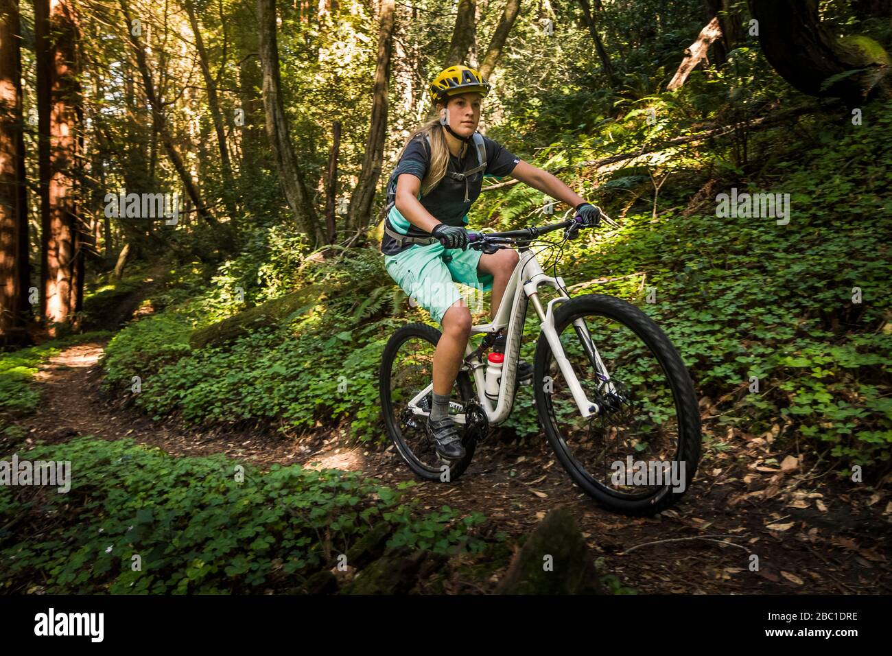 Woman riding mountainbike on forest track, Santa Cruz, California, USA Stock Photo