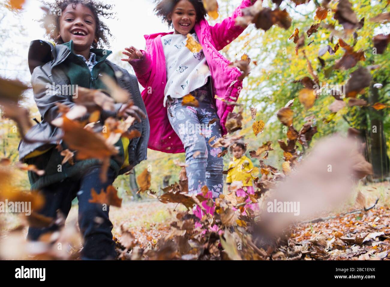 Happy brother and sister running and playing in autumn leaves Stock ...