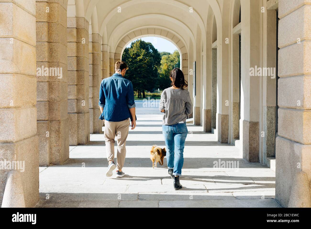 Rear view of young couple walking with dog in an arcade Stock Photo