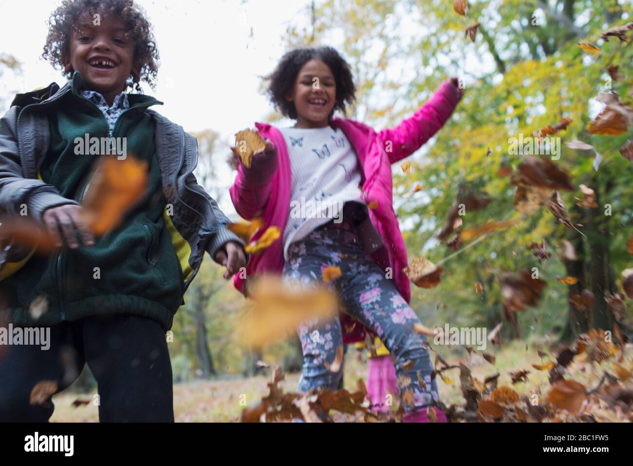 Portrait playful brother and sister playing in autumn leaves Stock ...