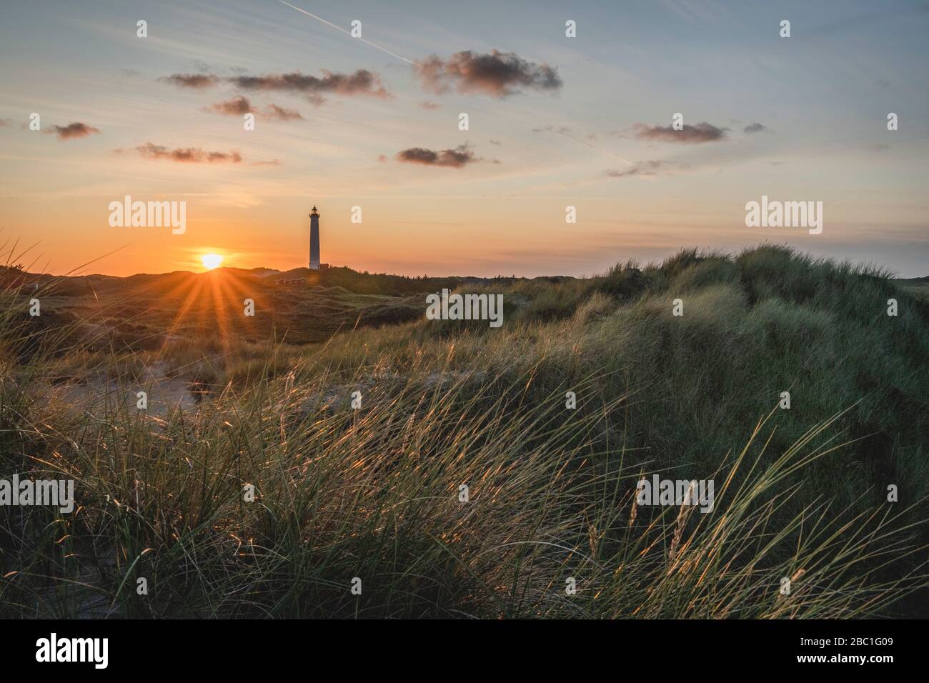 Denmark, Hvide Sande, Grassy coast at sunset with lighthouse in background Stock Photo