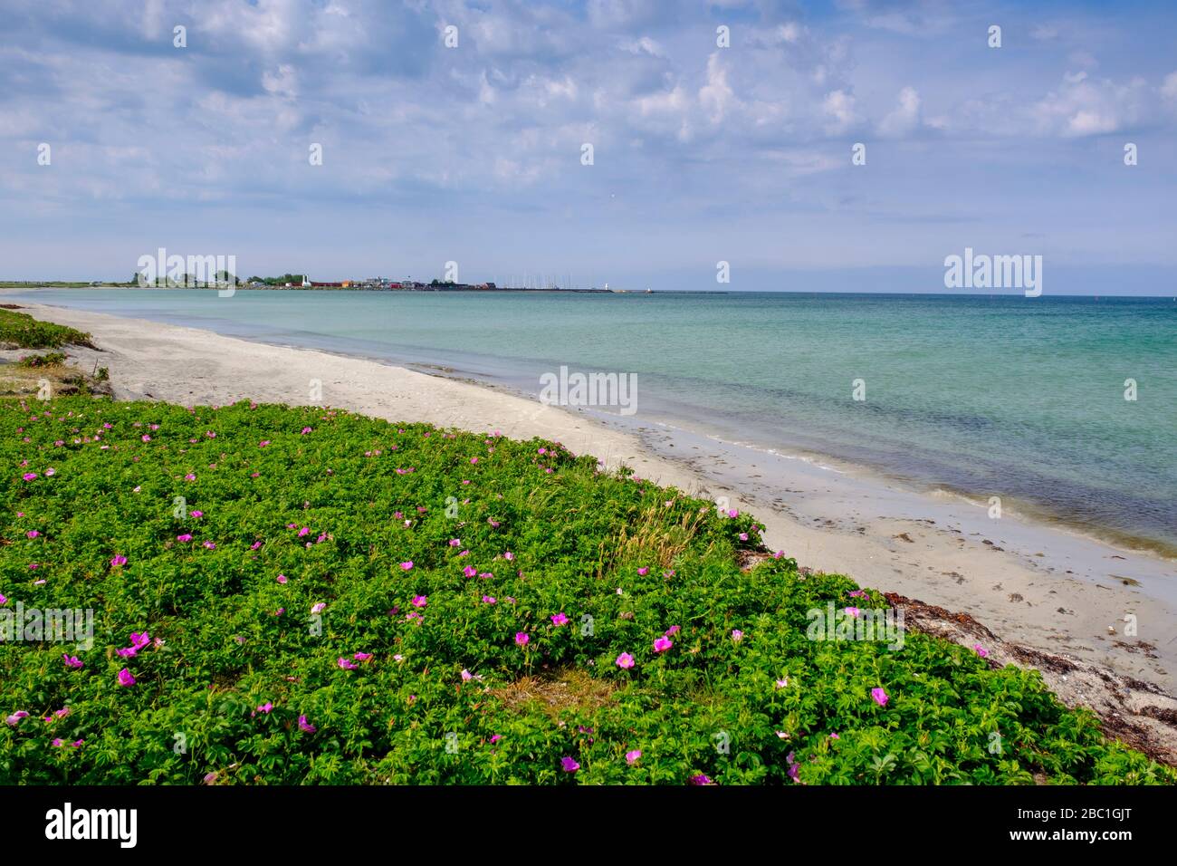 Naturschutzgebiet Flommen, Skanör Strand, Falsterbo, Skane, Skåne län, Südschweden, Schweden, Stock Photo