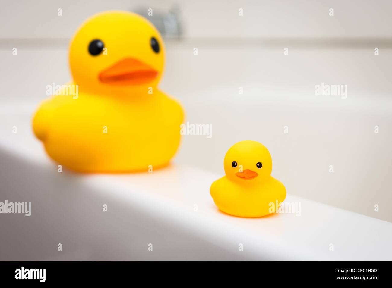 Baby Rubber Bath Tub / Yellow Rubber Ducky Floating In Baby Bathtub With Bubbles Stock Photo 719210ee Bafa 46b5 B7c1 Ea2d9b16dd26 / Skip hop moby softspot sink bather bath cushion.