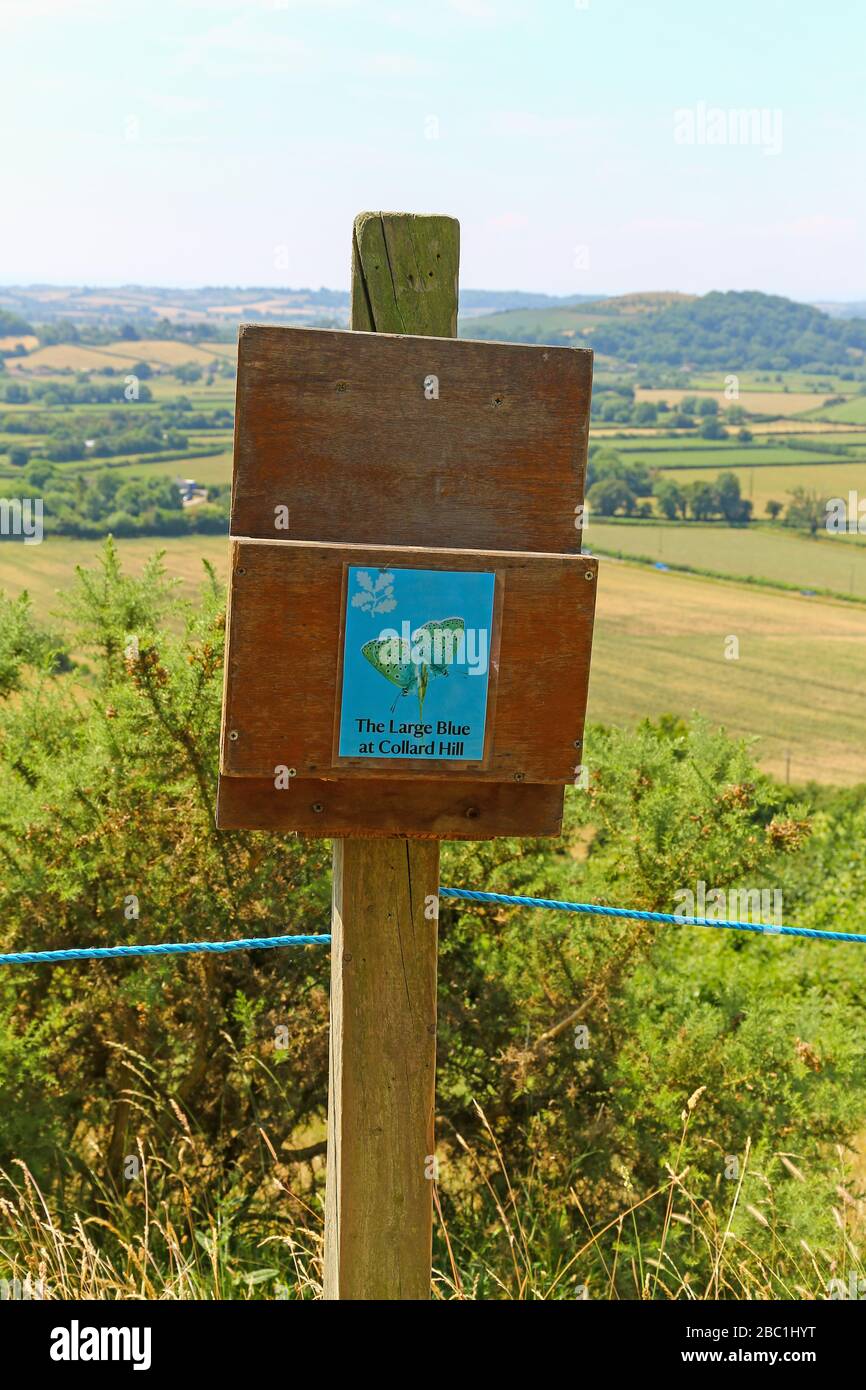 An information board about the Large Blue Butterfly habitat at Collard Hill, Somerset, England, UK, PHOTO TAKEN FROM PUBLIC FOOTPATH Stock Photo