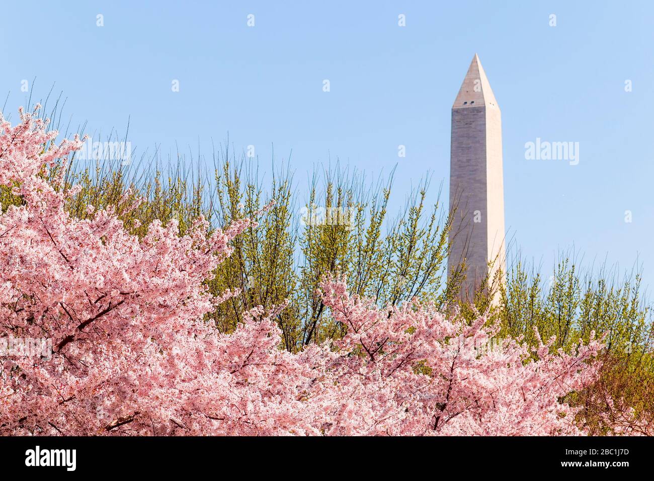 Washington Dc April 3 2019 Cherry Blossom Festival With Washington Memorial Around The Tidal Basin Stock Photo Alamy,How To Clean A Kitchen Faucet Spray Head