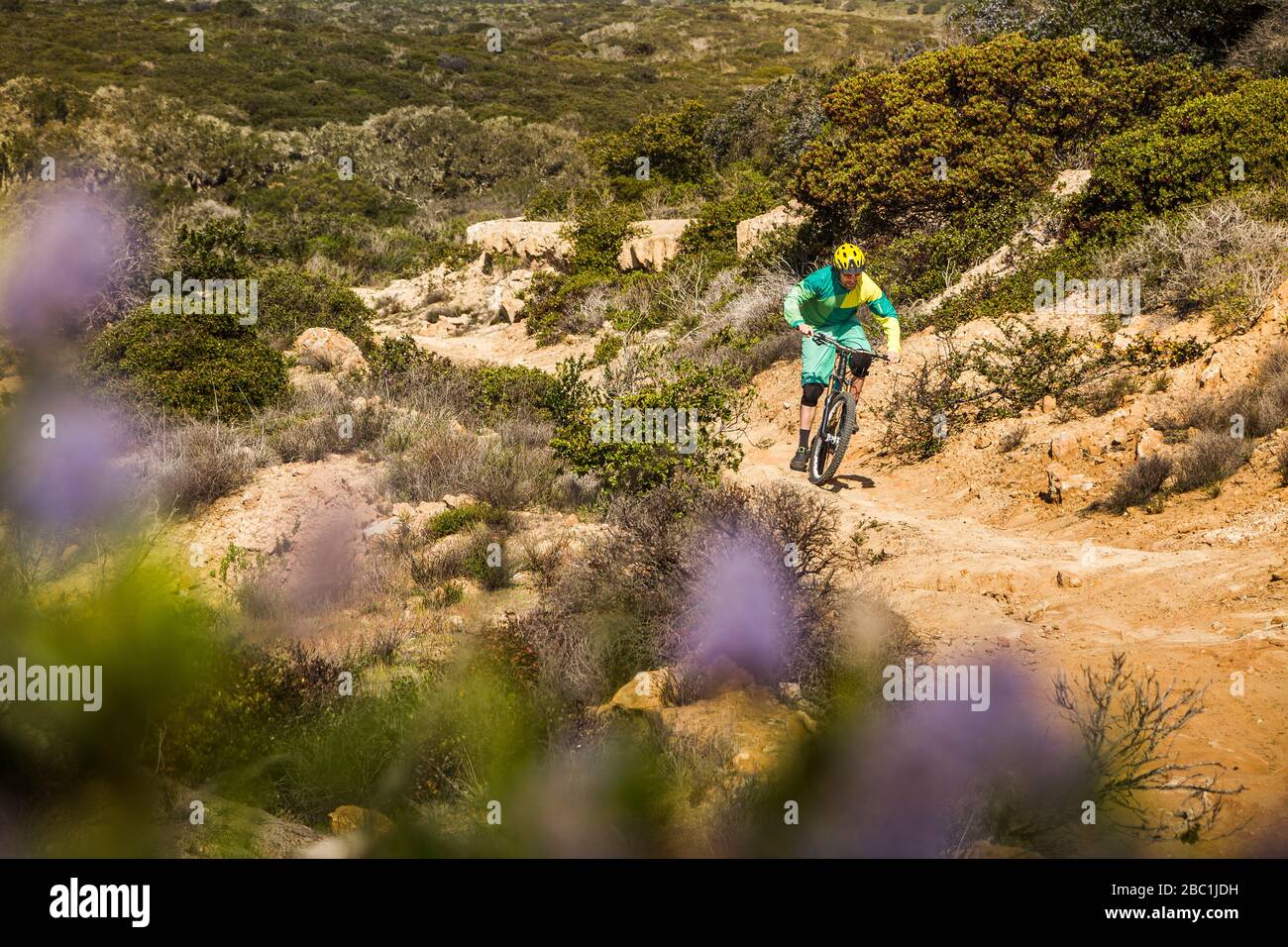 Man riding up dirth path on mountainbike in Fort Ord National Monument Park, Monterey, California, USA Stock Photo
