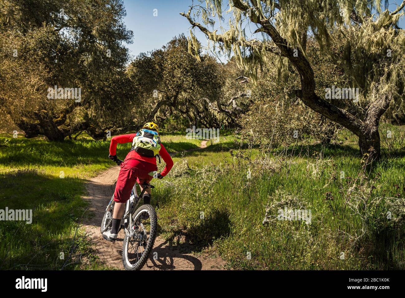 Woman riding mountainbike on forest track, Fort Ord National Monument