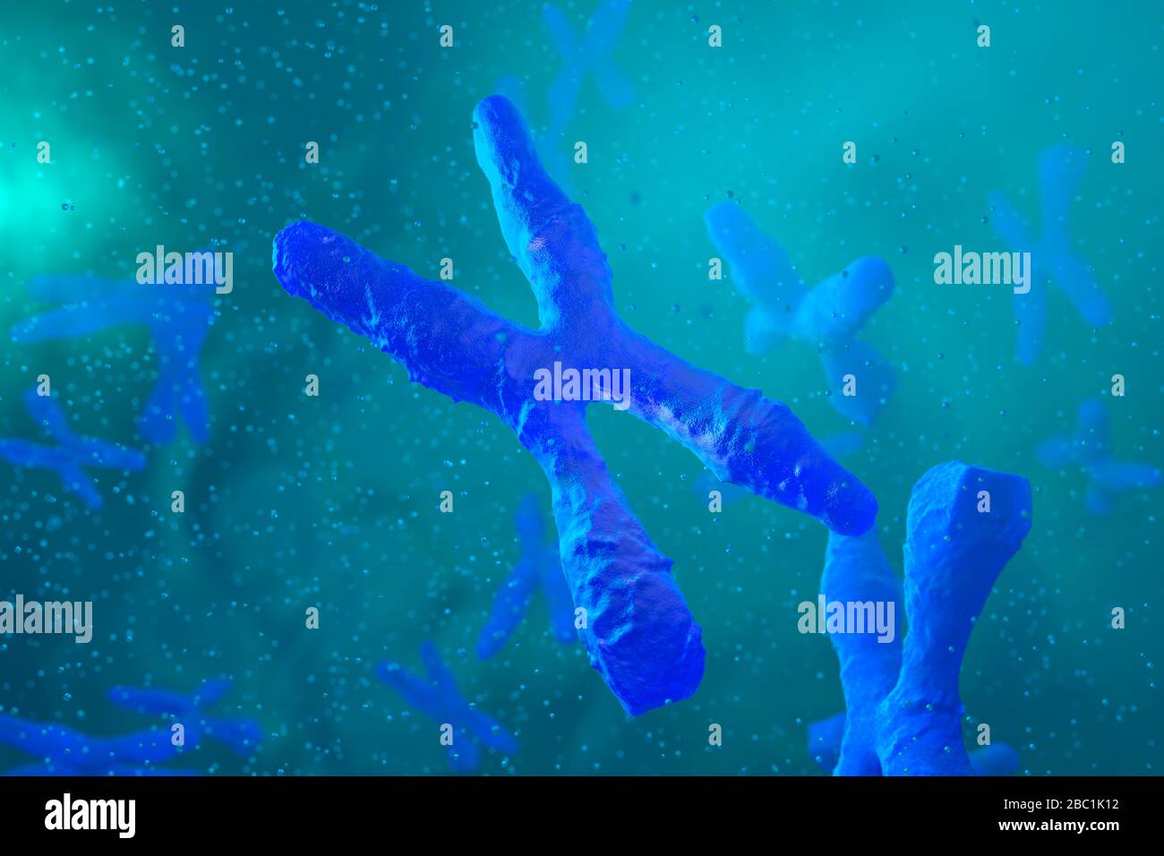 Chromosomes hi-res stock photography and images - Alamy
