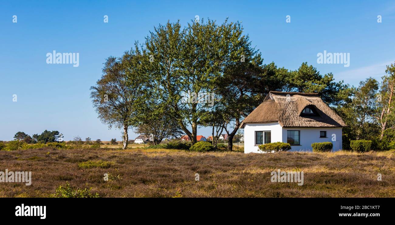 Germany, Mecklenburg-Western Pomerania, Small rustic house on sunny day Stock Photo