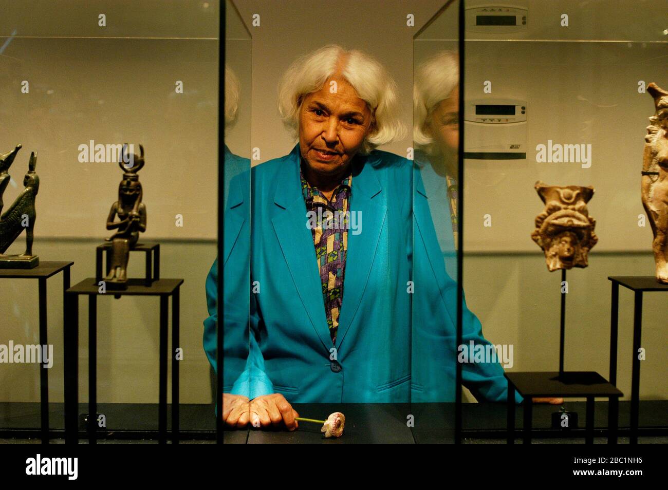 Nawal El Saadawi is an Egyptian feminist writer, activist, physician, and psychiatrist. Stock Photo