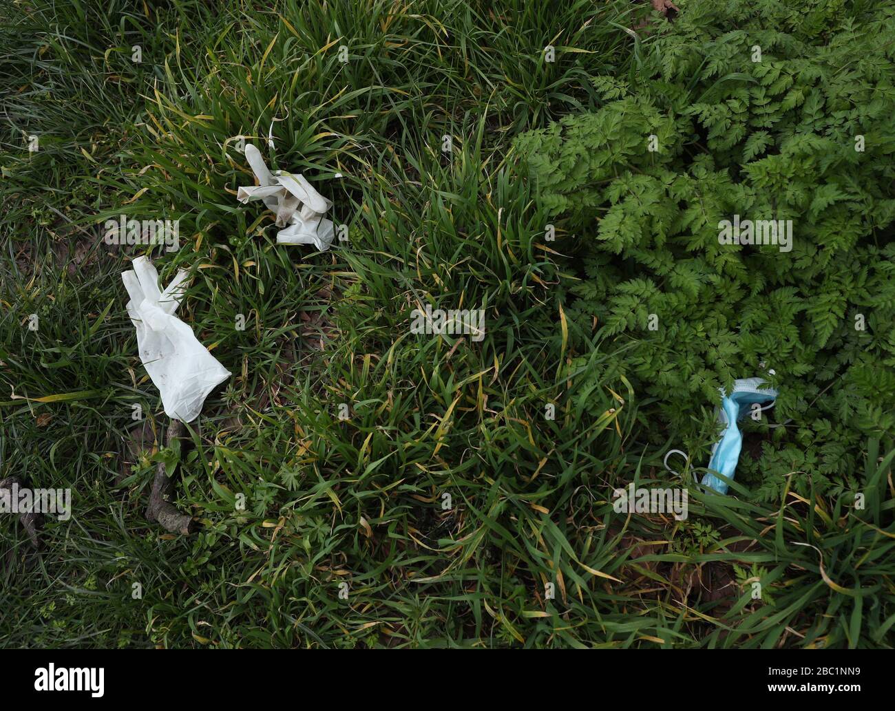 Discarded latex gloves and a face mask in Wanstead Flats, near a