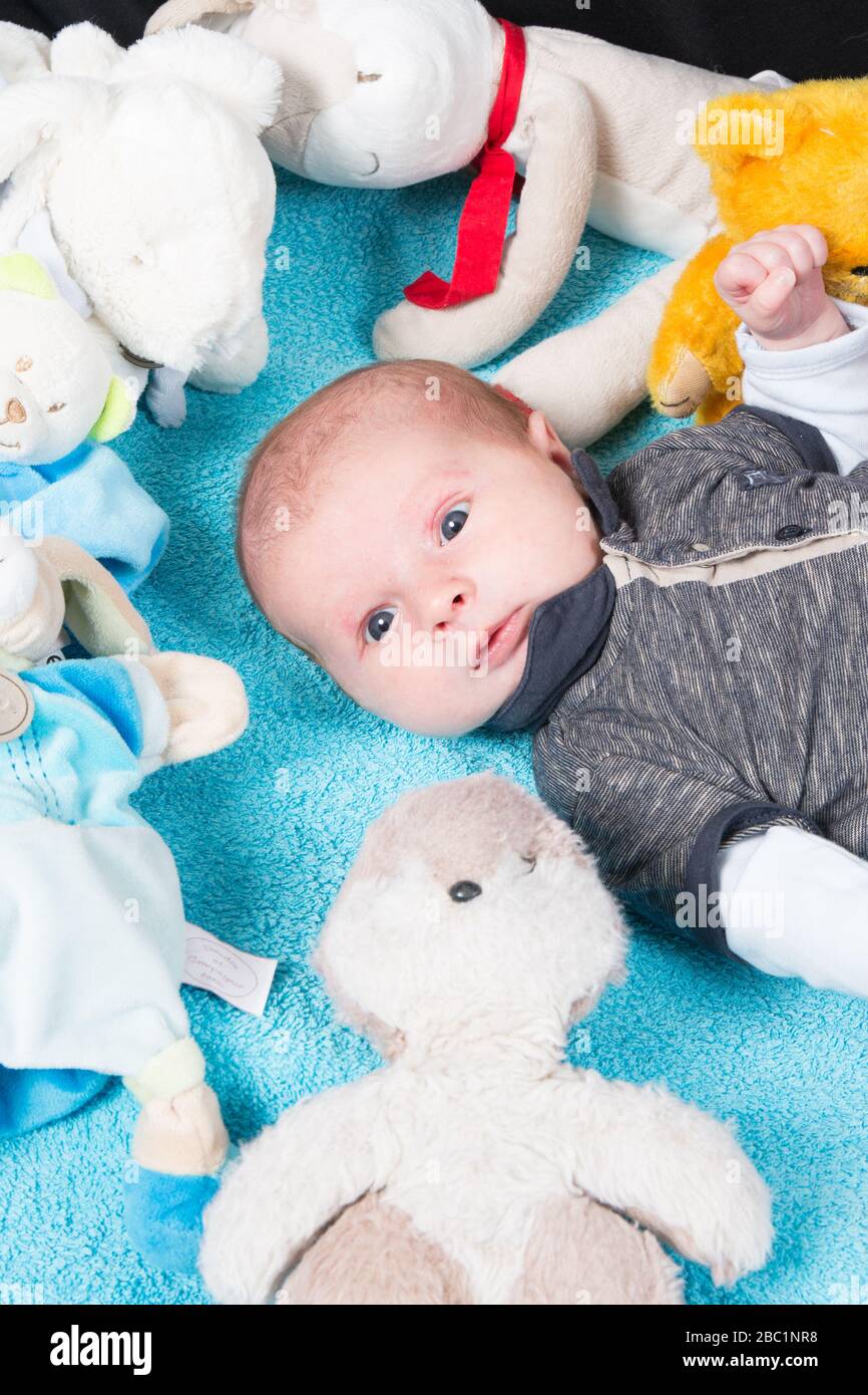 soft toy baby boy