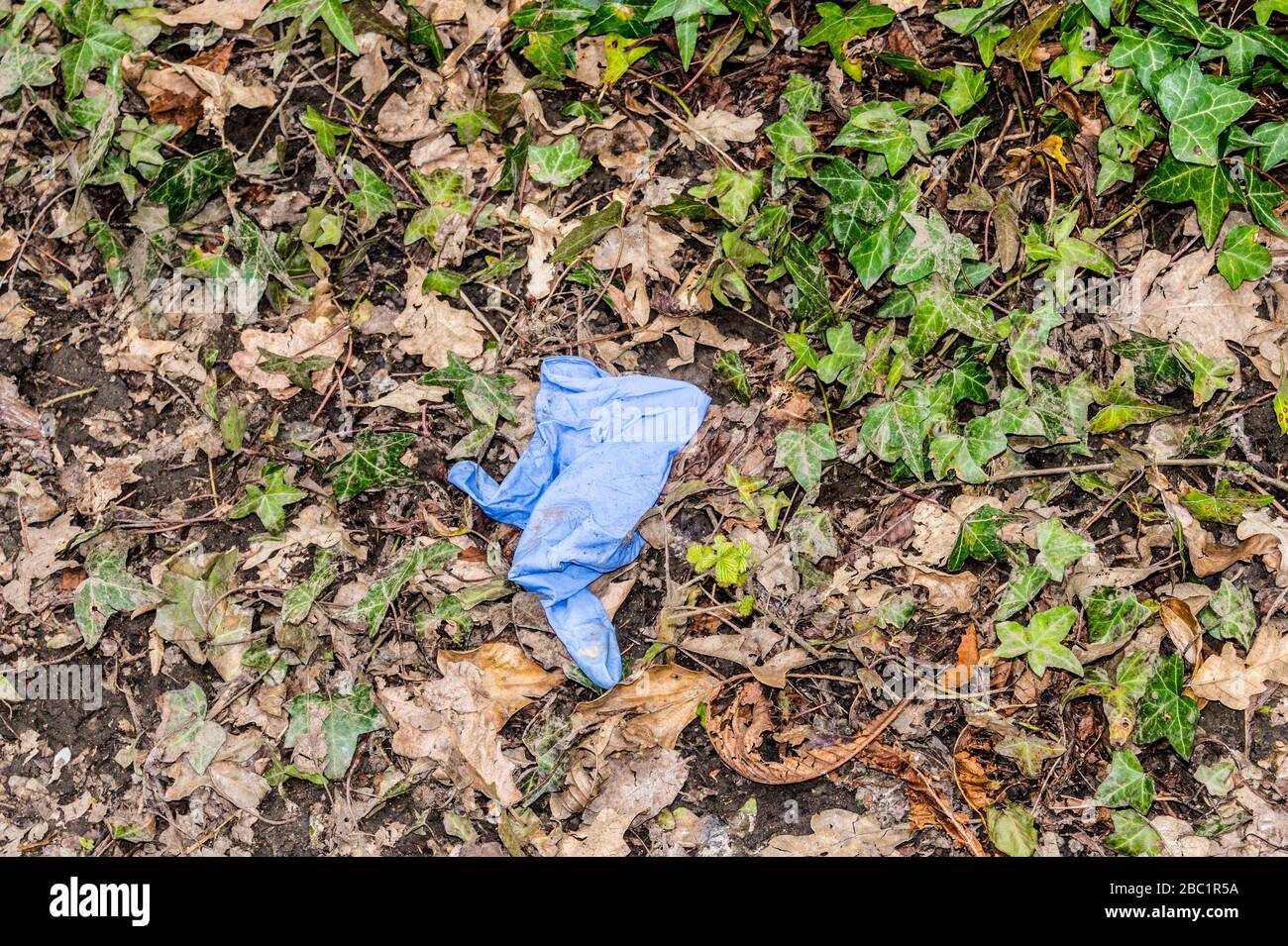 A discarded latex glove in Epping forest, South Woodford, London, England Stock Photo