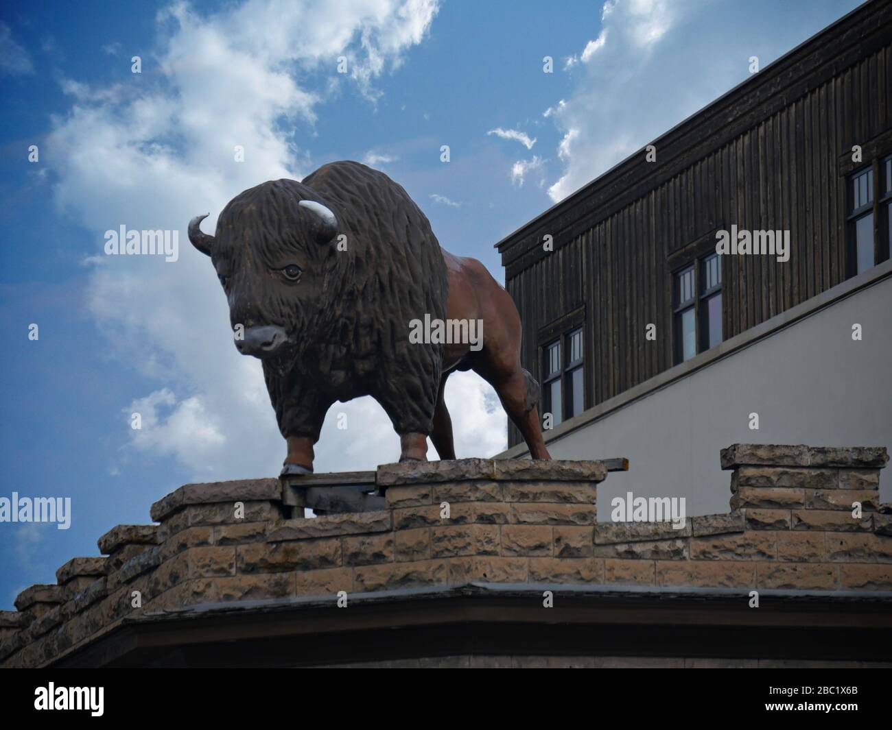 Driggs, Idaho- August 2018: Upward shot of a buffalo sculpture along the road. Stock Photo