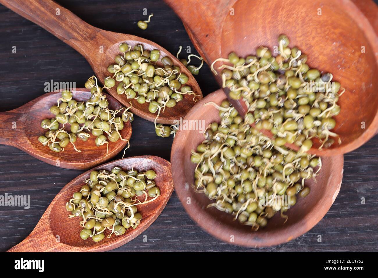 Grad Beans Fresh germinated green gram beans in white background Stock Photo - Alamy