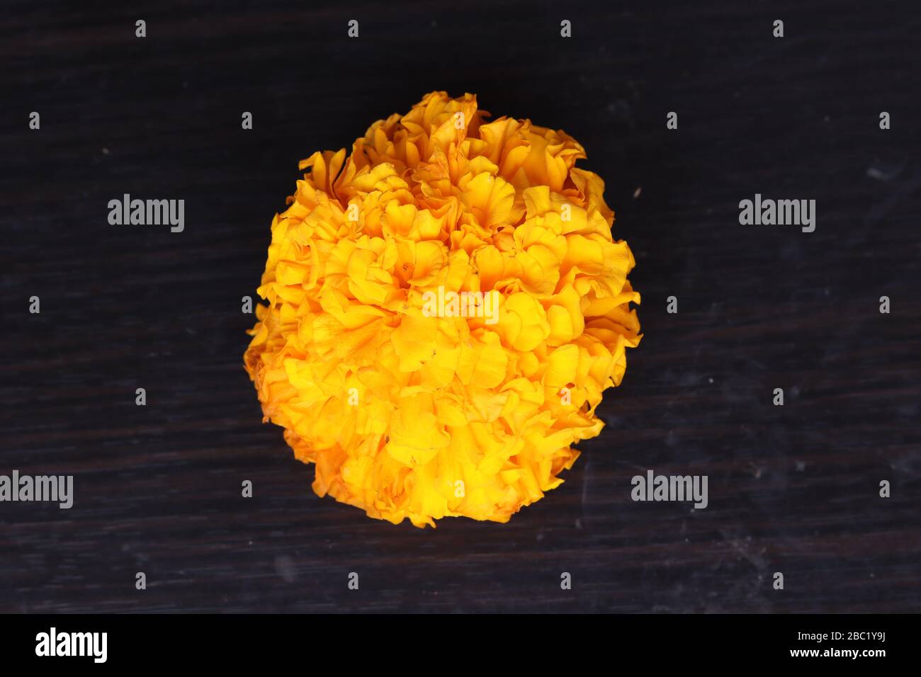 Beautiful marigold flowers on black background Stock Photo