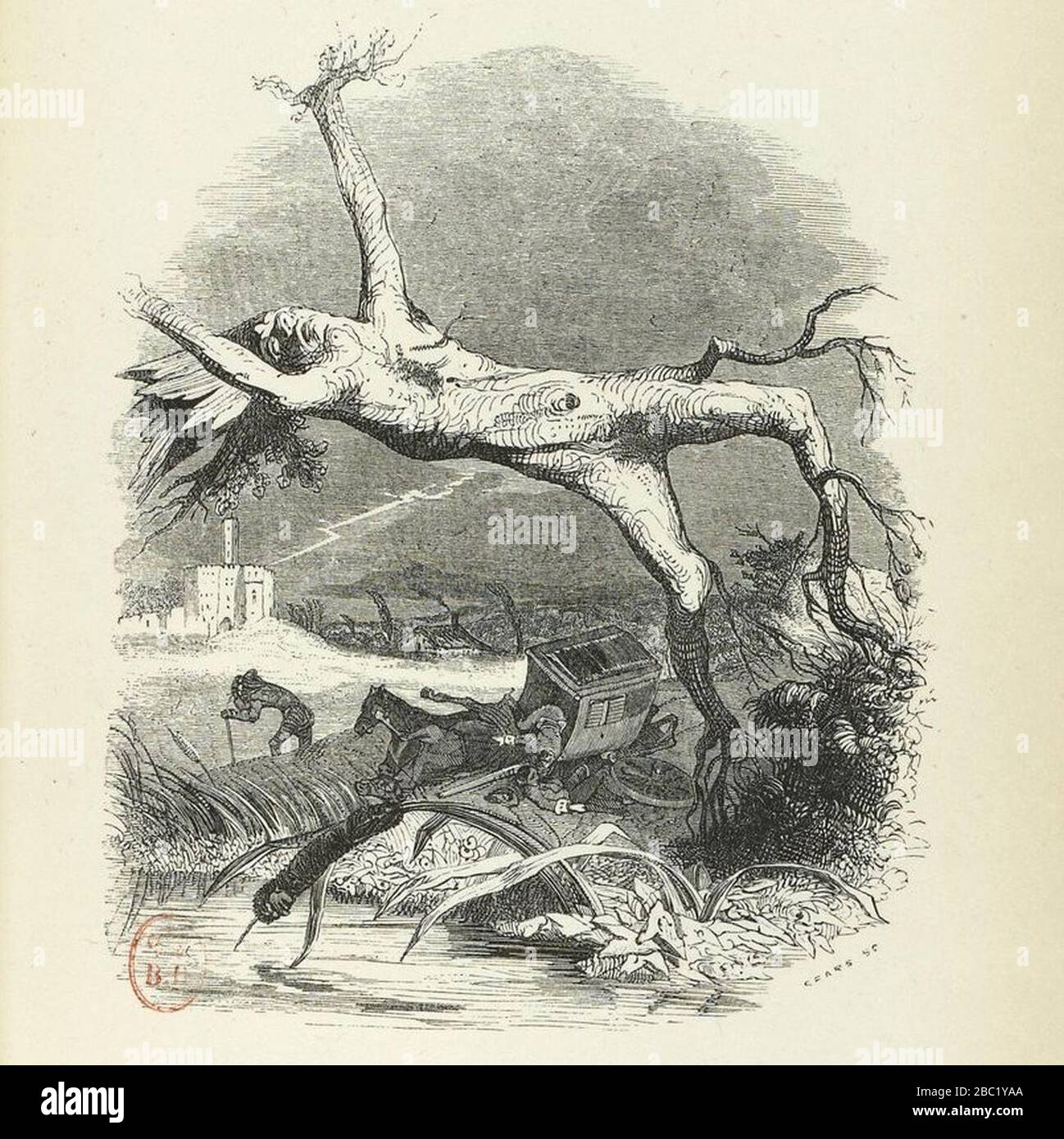 le chène et le roseau