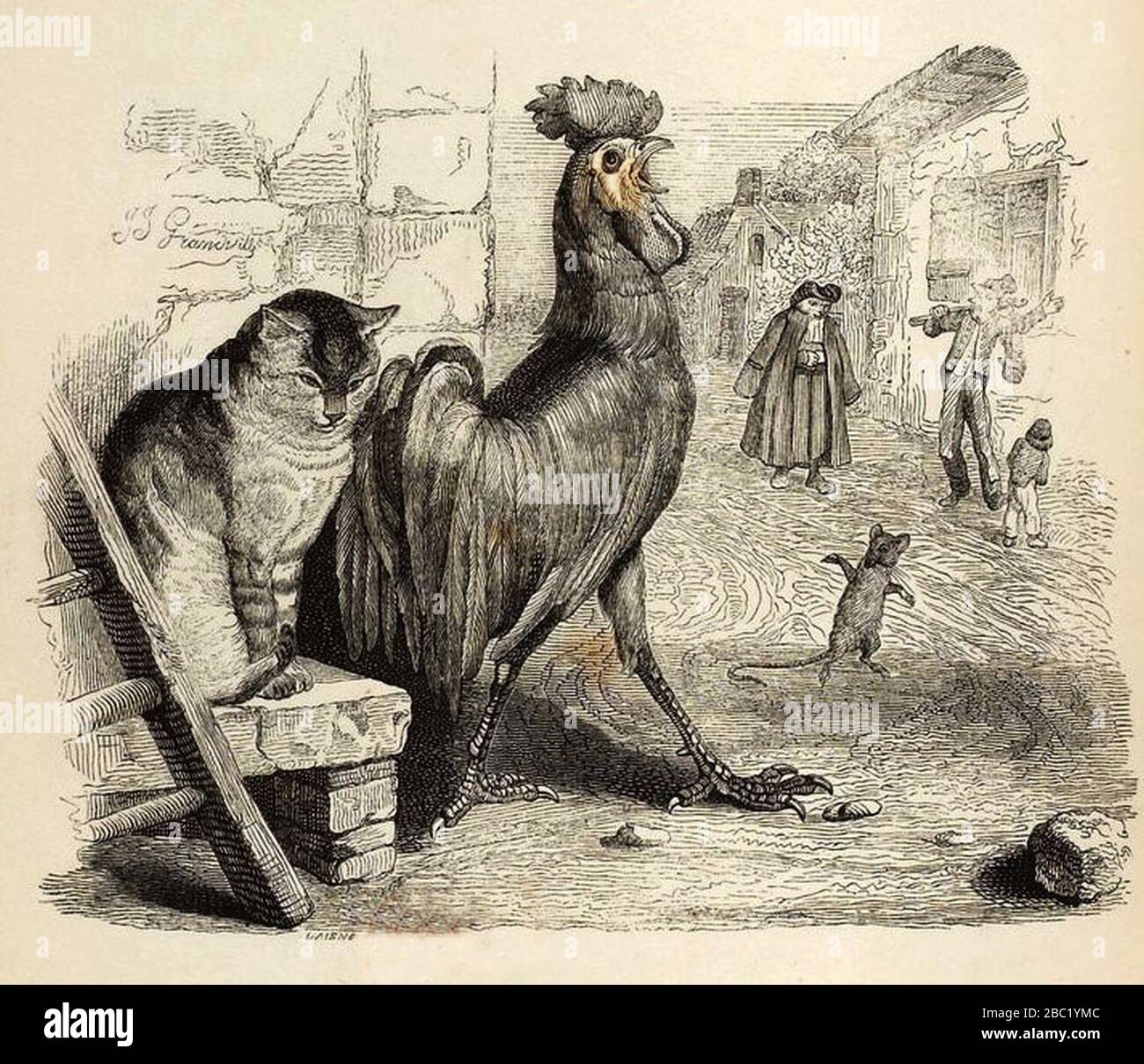 Grandville Fables De La Fontaine 06 05 Le Cochet Le Chat Et Le Souriceau Stock Photo Alamy