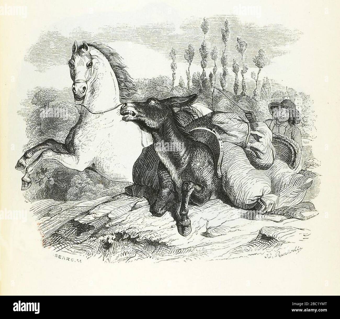 басня крылова лошадь. конь и всадник басня крылова. басня конь. осел и лошадь басня толстого. басня крылова лошадь.