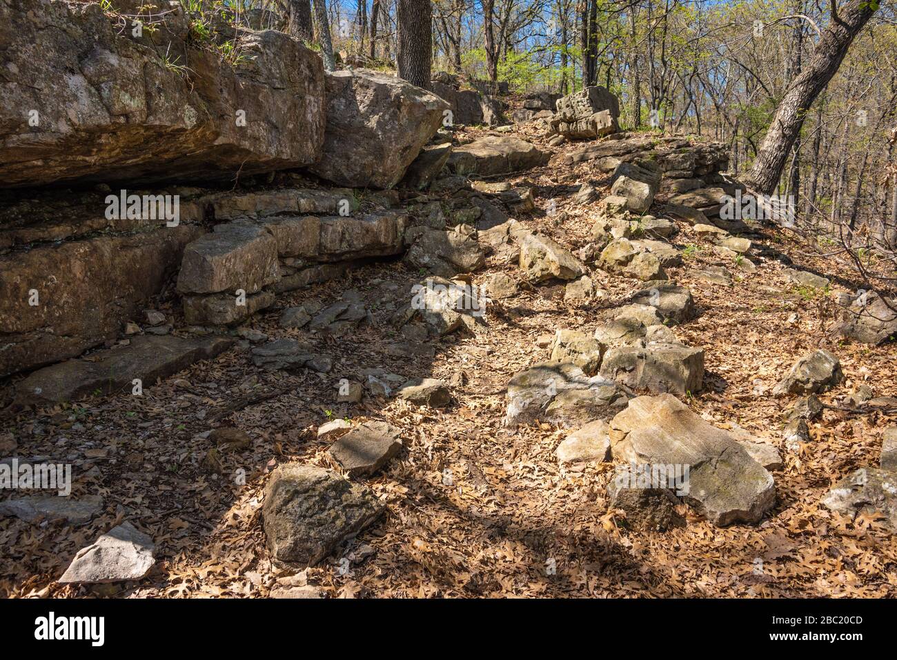 Fossil Trail along the eastern shoreline of Fort Gibson Lake at Sequoyah State Park in Hulbert, Oklahoma. (USA) Stock Photo