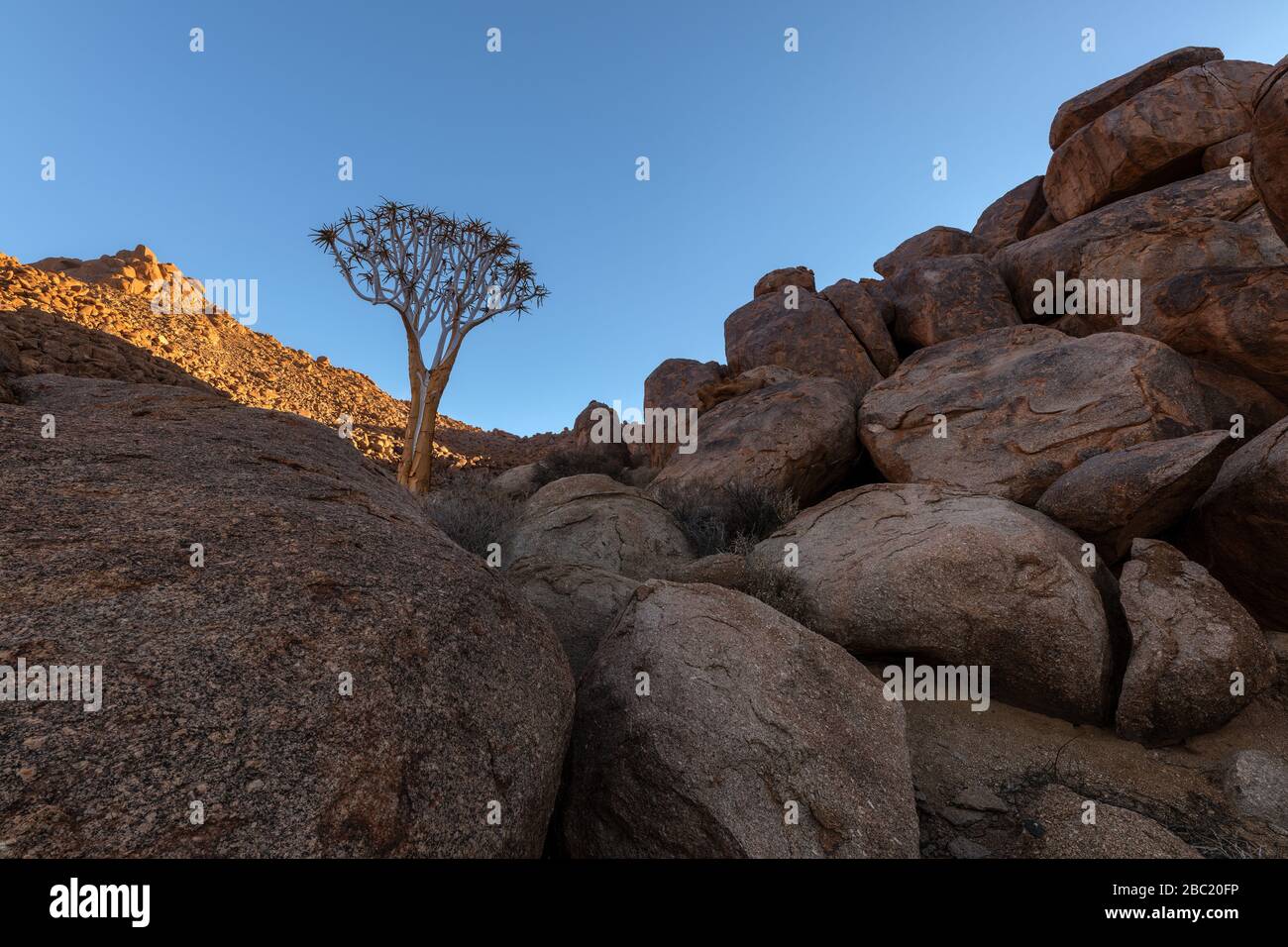 A beautiful arid mountain landscape at sunset, with fascinating rock formations in the foreground and a beautiful Quiver Tree in the background, taken Stock Photo
