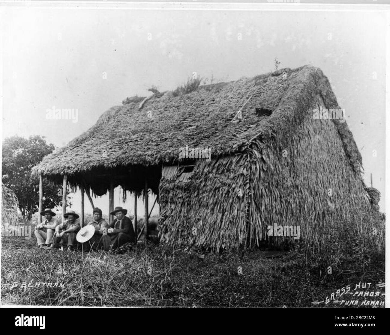 Grass Hut Pahoa (1 Stock Photo Alamy