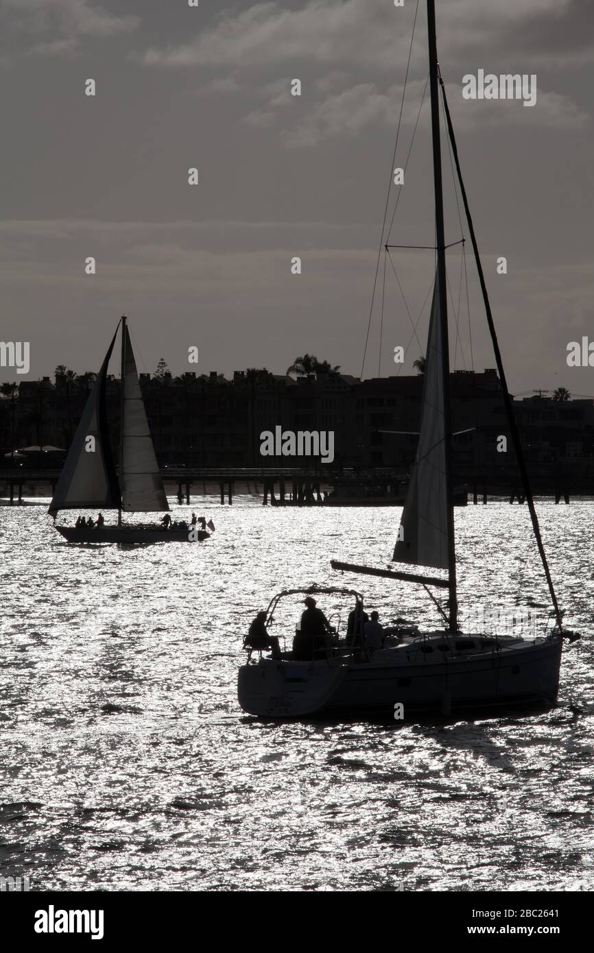 Early Evening Sailing in San Diego Bay Stock Photo Alamy