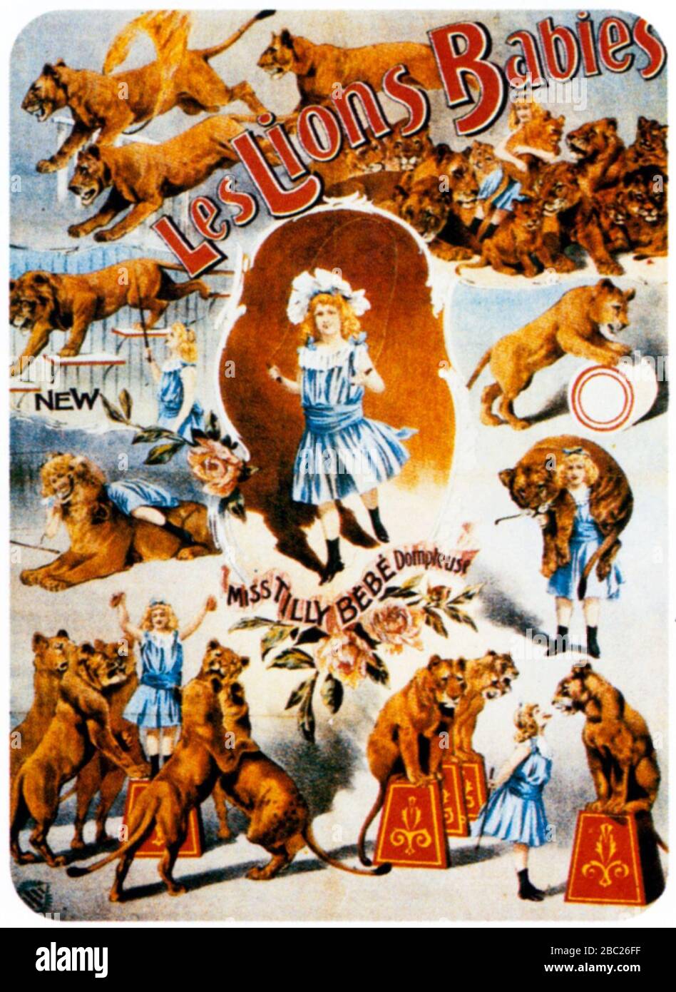 Miss tilly Cut Out Stock Images & Pictures Alamy